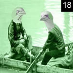 They Might Be Gannets