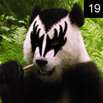 Pandering