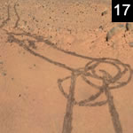 Penis On Mars