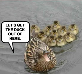 Duck!