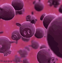swine flu