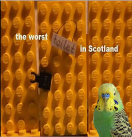 Budgie in the Cludgie