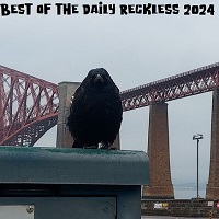 Best Of The Daily Reckless 2024