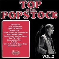 Top Of The Popstock Vol.2